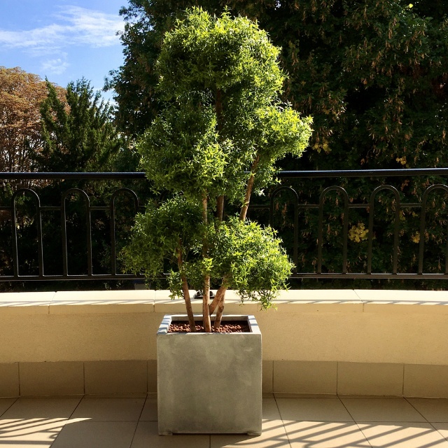 arbre-artificiel-decoration-terrasse