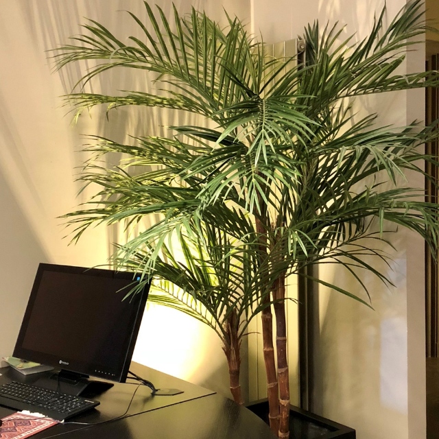 palmier artificiel pour bureau