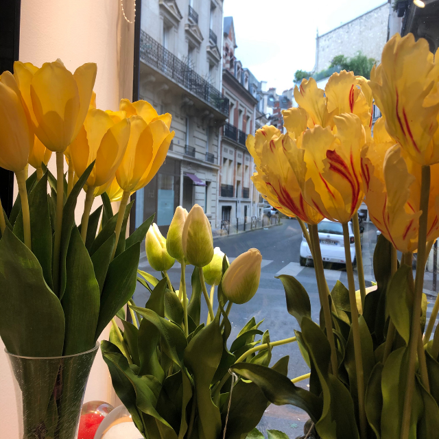 tulipes-artificielles-perroquets-hollande