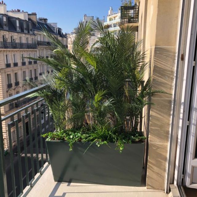 palmiers-artificiels-balcon-brisevue-airbnb